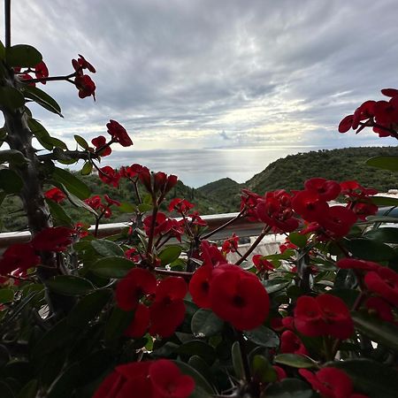 Selami Sea View Apartments Lukovë 外观 照片