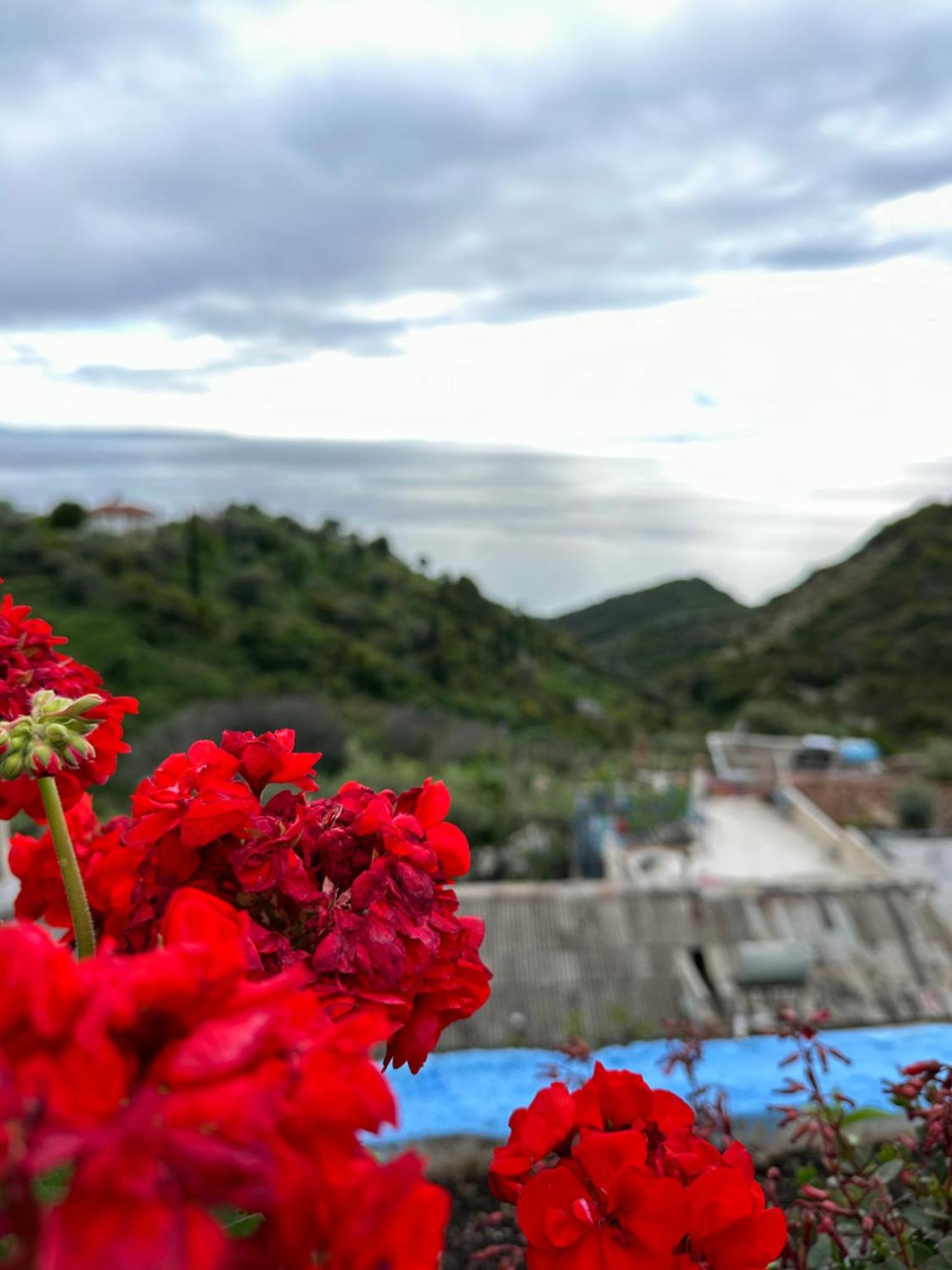 Selami Sea View Apartments Lukovë 外观 照片