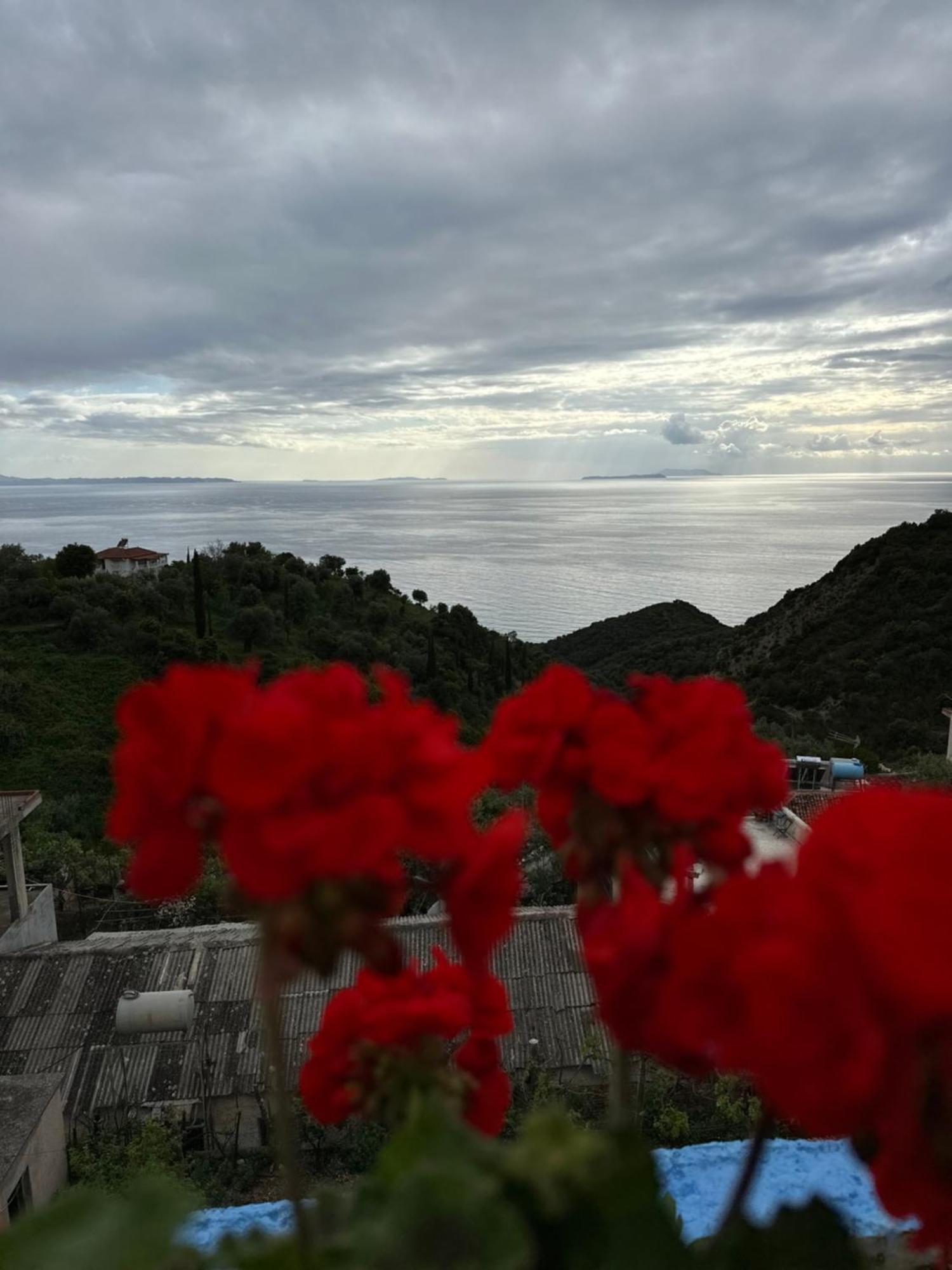 Selami Sea View Apartments Lukovë 外观 照片