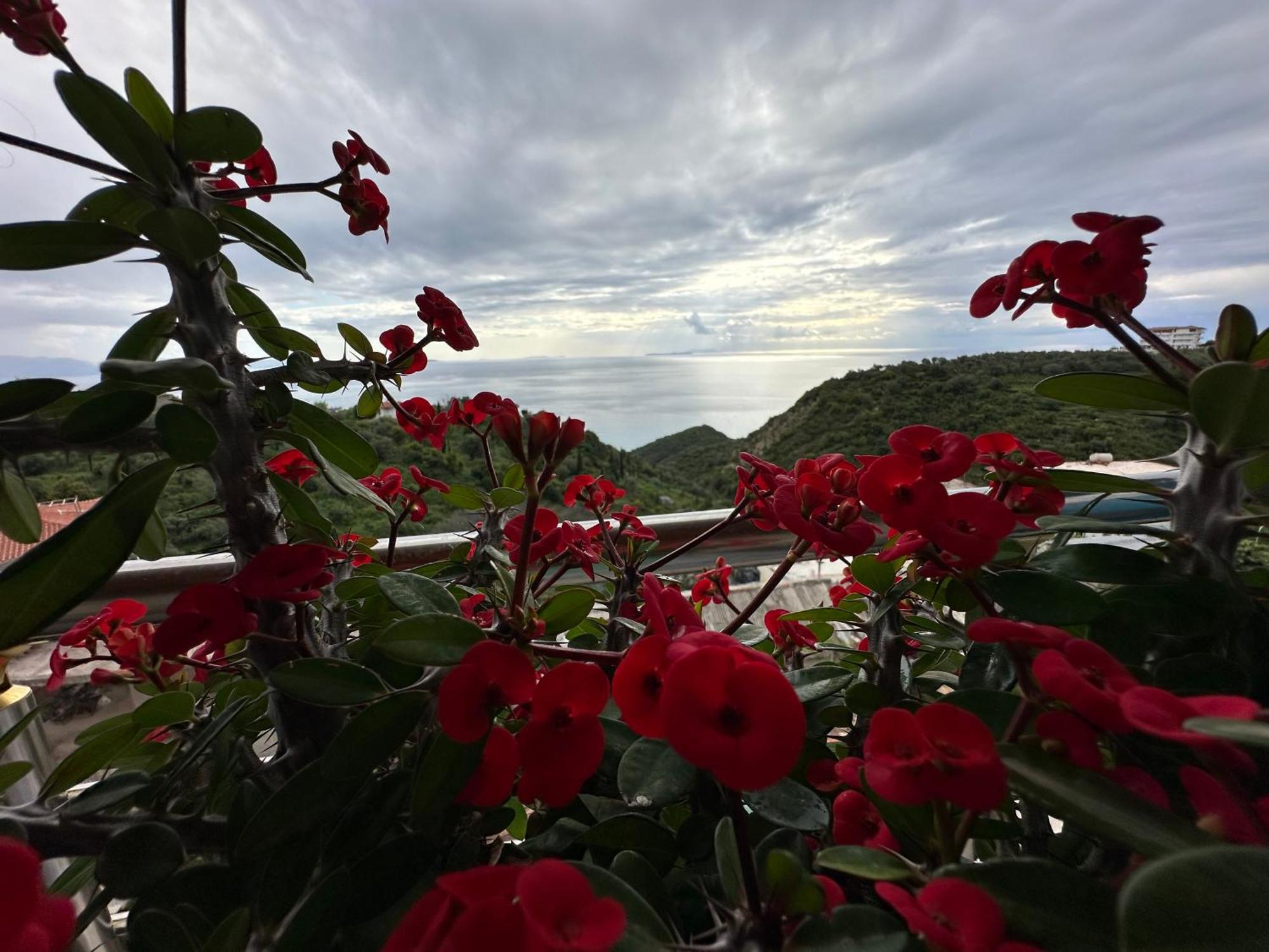 Selami Sea View Apartments Lukovë 外观 照片