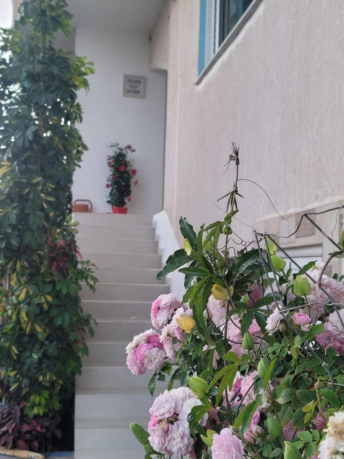 Selami Sea View Apartments Lukovë 外观 照片